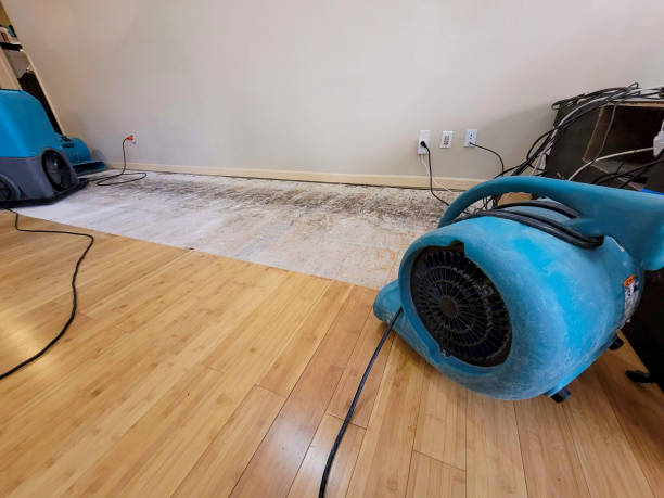 Professional Water Removal technician working in Sharpsburg, NC